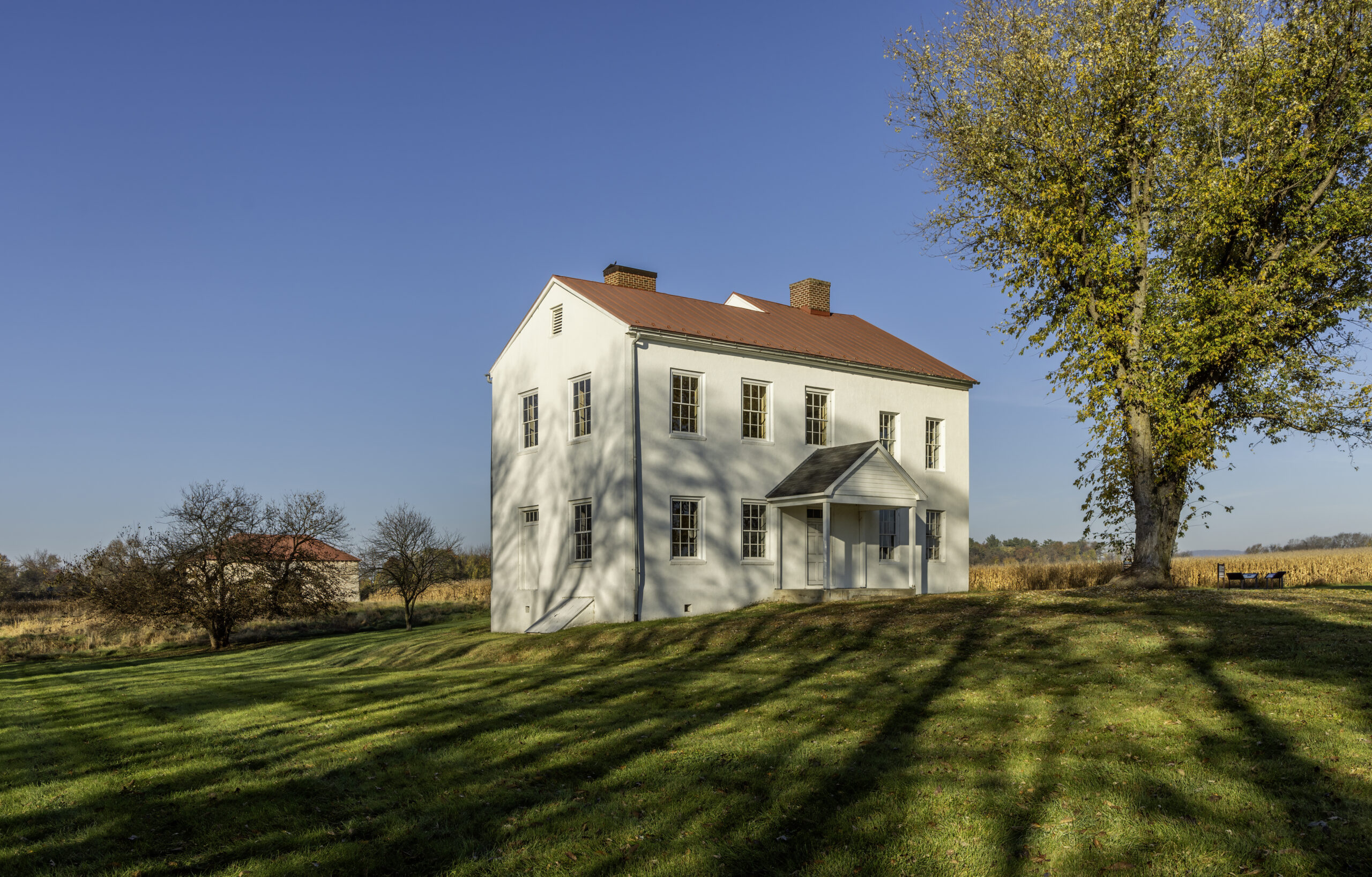 Best Farm MNB MD3.jpg